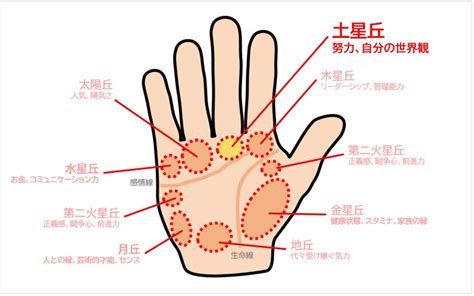 土星丘直紋